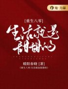 小说推荐《重生八零：生活就是甜