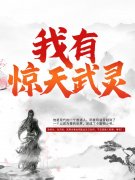 元枫云梦尘小说吞天武灵主人公元