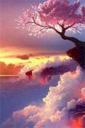 爆款热文宁夜林芩（九州君主）精