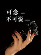 已完结小说《可念不可说》最新章