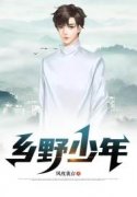 已完结小说《乡野少年》全文免费