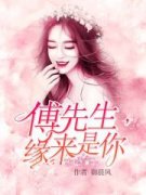 傅先生，缘来是你乔安夏傅司南小