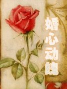 婚心动魄小说，婚心动魄在线阅读