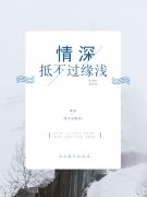 柠檬初上免费阅读，柠檬初上全文