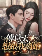 完整版《傅总天天想跟我离婚》章