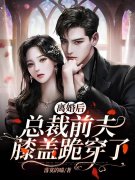 许颜封庭小说叫什么（离婚后，总