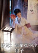 良心推荐《全集小说和豪门大佬闪