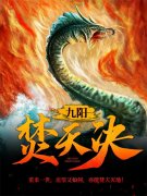 九阳焚天决萧凌全文阅读(萧凌北清
