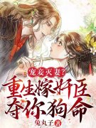 小说《宠妾灭妻？重生嫁奸臣夺你