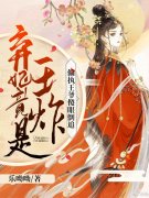 凤明薇慕容骁小说叫什么（休妻另