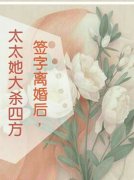 签字离婚后，太太她大杀四方小说