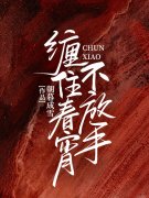 缠住春宵不放手林念念陆获小说大