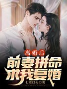 徐炎苏落雁（离婚后，前妻拼命求