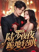 乔熏陆泽小说（夫人失踪两年，陆