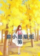 唐小露陈延锋章节目录小说-唐小露