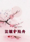 沈毓宁陆舟(沈毓宁陆舟)最新章节