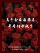 真千金婚后掉马，哥哥们都疯了小