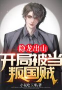 隐龙出山：开局被当叛国贼（苏林