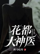 苏航李梅小说（苏航李梅花都大神