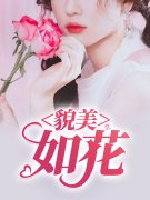 杨叔秦岚小说（杨叔秦岚貌美如花