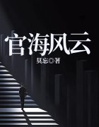 官海风云杨洛陈鹭小说阅读，官海