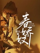 春娇奴傅菲傅久泽全本阅读，傅菲