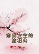 《穿成女主的渣相公》完结版免费