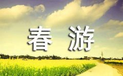 （精品）关于春游作文18篇