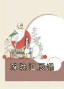 《苏晚江辰遇》小说大结局在线试