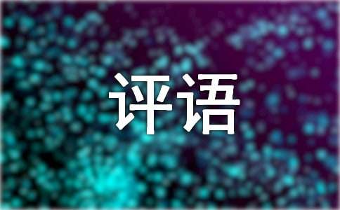 辅导员评语300句