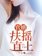 《官婿：扶摇直上》全集免费在线
