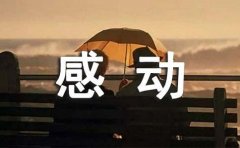 关于母亲的感动事迹范文
