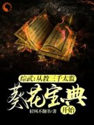 《朱由检飘絮》综武：从教三千太