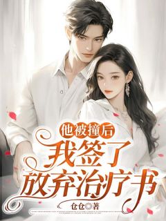 《尹筱竹叶伯山温婉》精彩章节列表在线试读_他被撞后，我签了放弃治疗书小说