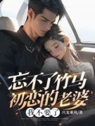 秦风杨悦舒凡章节目录_忘不了竹马
