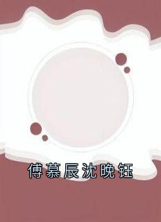 傅慕辰沈晚钰完整全文阅读_沈晚钰傅慕辰结局无删节