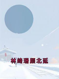《林绮珊顾北延》完结版免费阅读_《林绮珊顾北延》最新章节列表