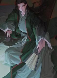 好书推荐《被贬三年，皇帝跪求我登基！》赵开丰璇玑全文在线阅读