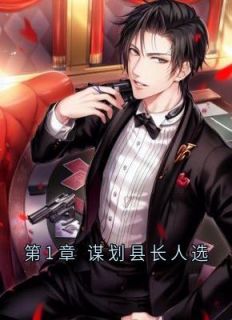 厉元朗水婷月全本资源_第1章_谋划县长人选完整未删减版