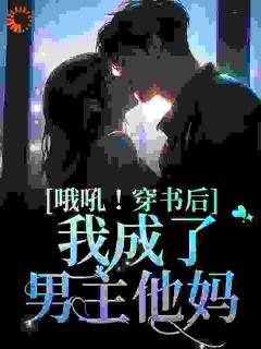 主角是哦吼！穿书后我成了男主他妈的小说_第20章