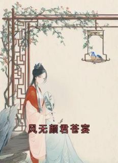 风无颜君苍宴全章节免费在线阅读_风无颜君苍宴小说完结版
