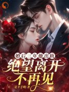 何婉慕怀安最新章节免费阅读（完