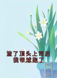 青春小说《渣了顶头上司后我带球跑了》主角舒白沈彦全文精彩内容免费阅读