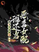 江绾卿路昭精彩章节小说免费试读