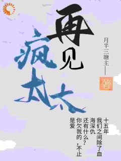 《高放锦淮炙》小说章节目录在线试读_再见疯太太小说全文