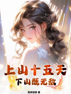 上山十五天，下山既无敌叶峰赵雪梅小说大结局免费试读