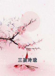 《三孩玲珑》宁芷沈若竹谢及元全文在线试读