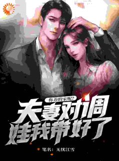 苏晨林浅小说试读_夫妻对调娃我带好了，你养的家呢小说全文章节列表