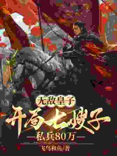 《朱文朱彬》小说章节列表在线试读_无敌皇子：开局七嫂子，私兵80万小说全文