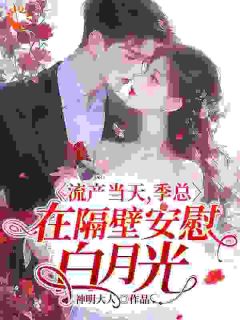 流产当天，季总在隔壁安慰白月光全文精彩章节在线阅读（桑冉季时宴）